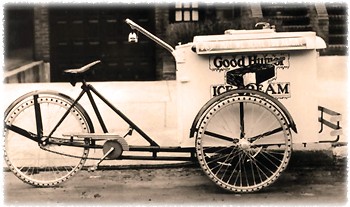 Cargo Bike